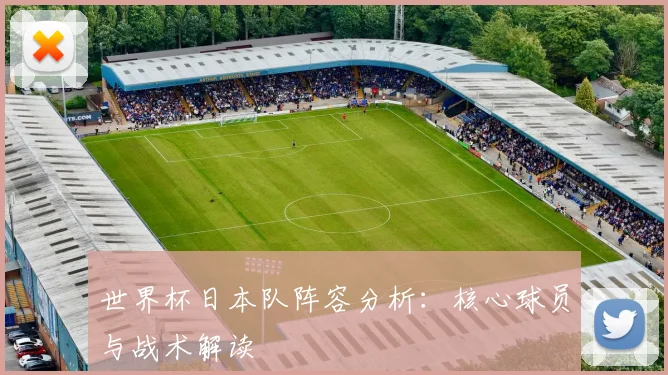 世界杯日本队阵容分析:核心球员与战术解读
